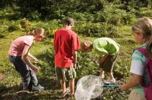 Photo 4 — galerie Nature & Survie