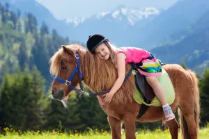 Photo 10 — galerie Equitation