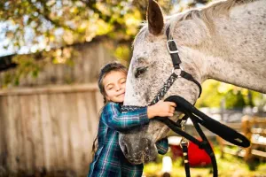 Photo 1 — galerie Equitation