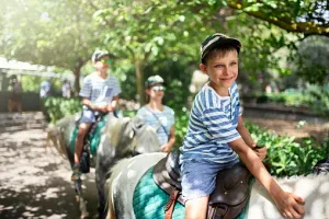 Photo 4 — galerie Equitation