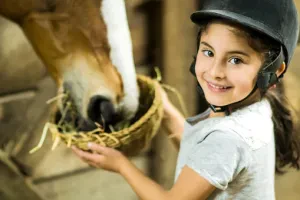 Photo 5 — galerie Equitation