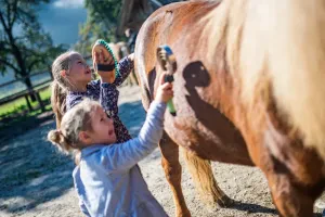Photo 7 — galerie Equitation