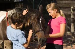 Photo 8 — galerie Equitation
