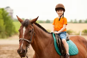 Photo 9 — galerie Equitation