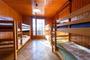 Photo 15 — galerie Le Petit Poucet