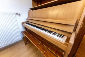 Photo 33 — galerie Le Petit Poucet